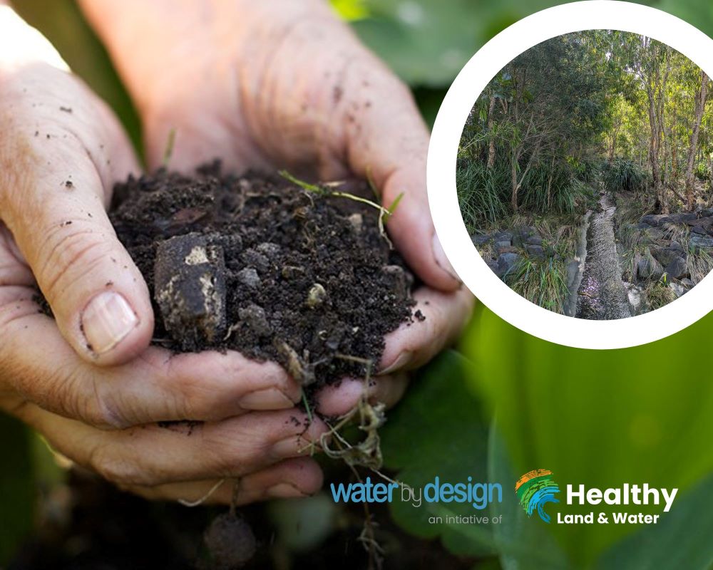 Biology of Bioretention Systems webinar 