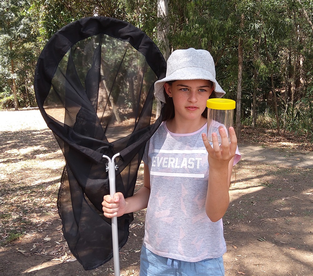How butterflies are helping determine the health of our region
