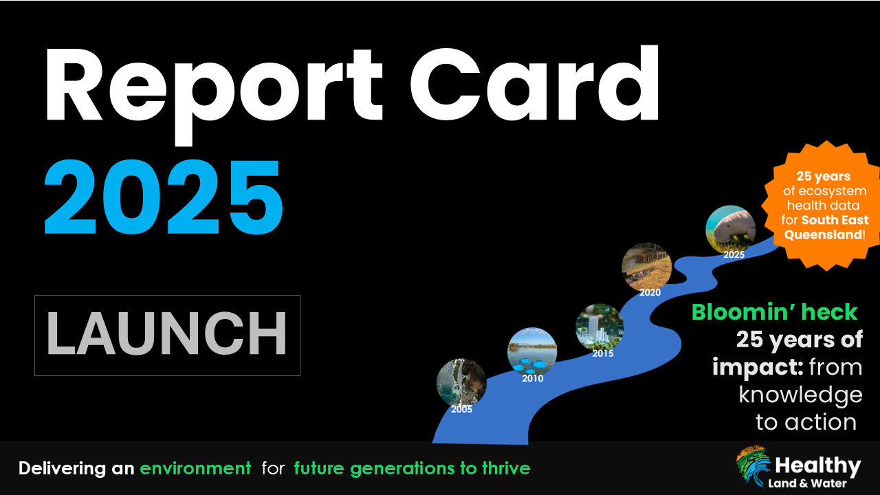 Report Card 2025 Launch - video of launch