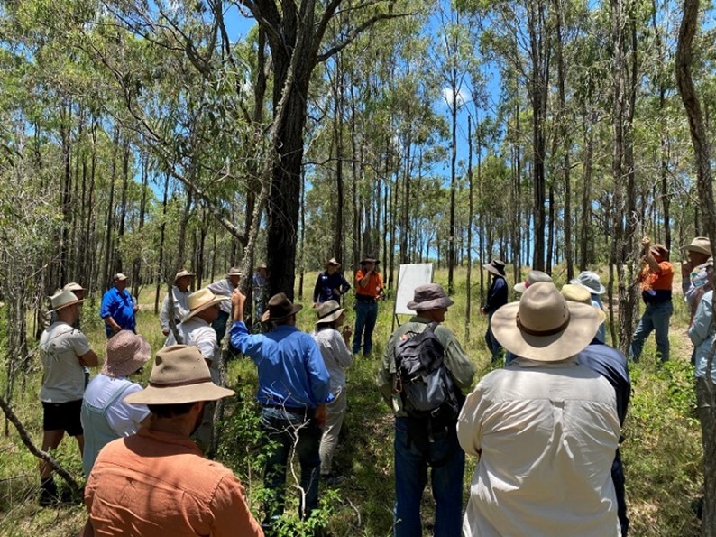 Native forest management field day at Emu Creek