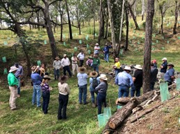 Erosion control and pasture management field day at Thornton