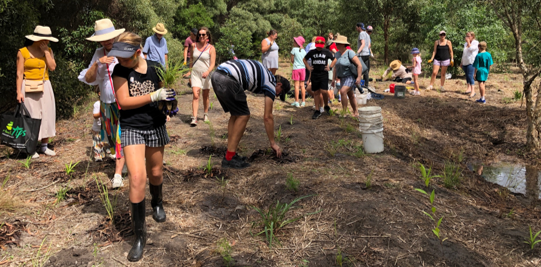 Aura Community Program